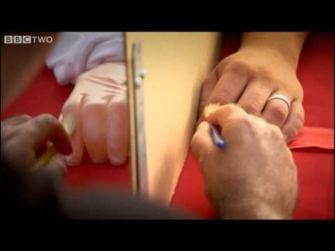 The Rubber Hand Illusion - Horizon: Is Seeing Believing? - BBC Two