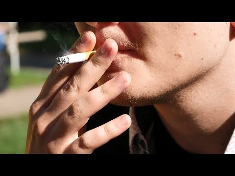 Ban on smoking doesn't make people quit