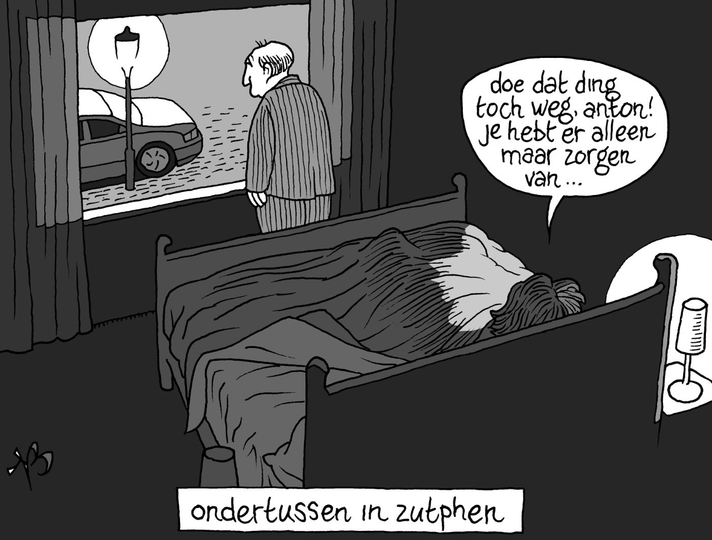 Declaratiegedrag Anton Pijpers. Cartoon: Niels Bongers 2019