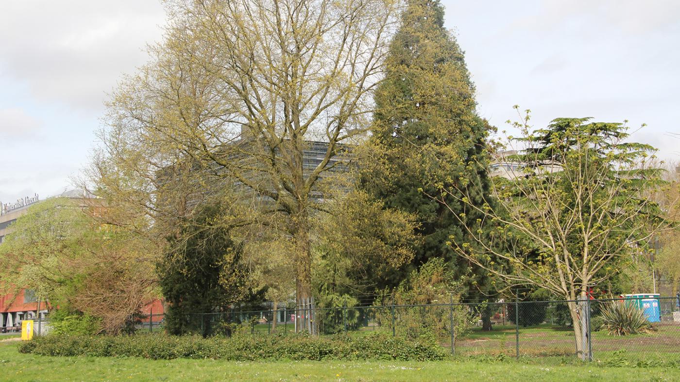 Toekomstig park buiten botanische tuinen, foto DUB