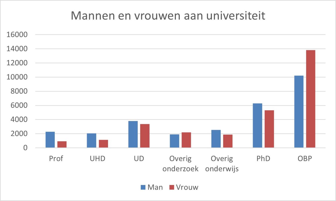 Grafiek man-vrouw per positie