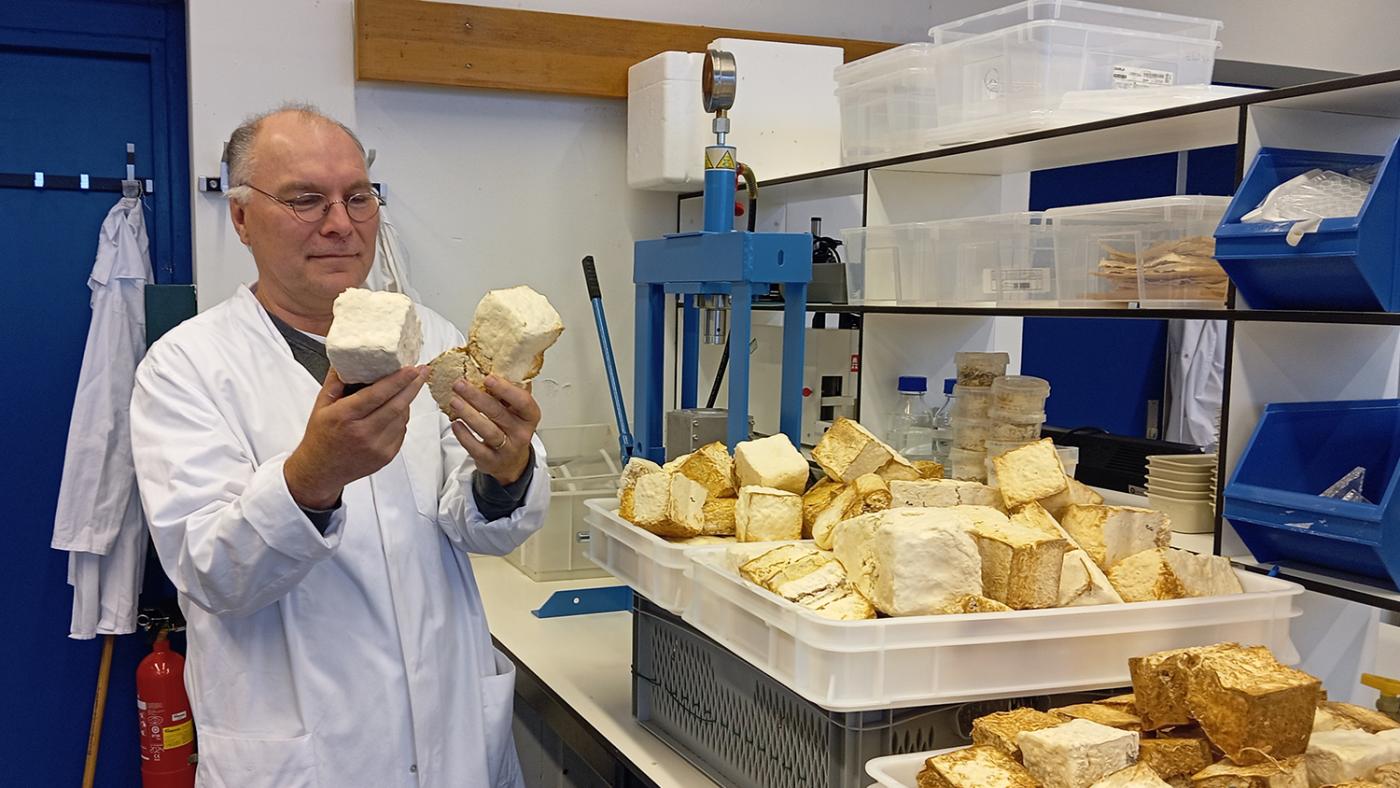 Han Wösten Foto: Marcel Hobma