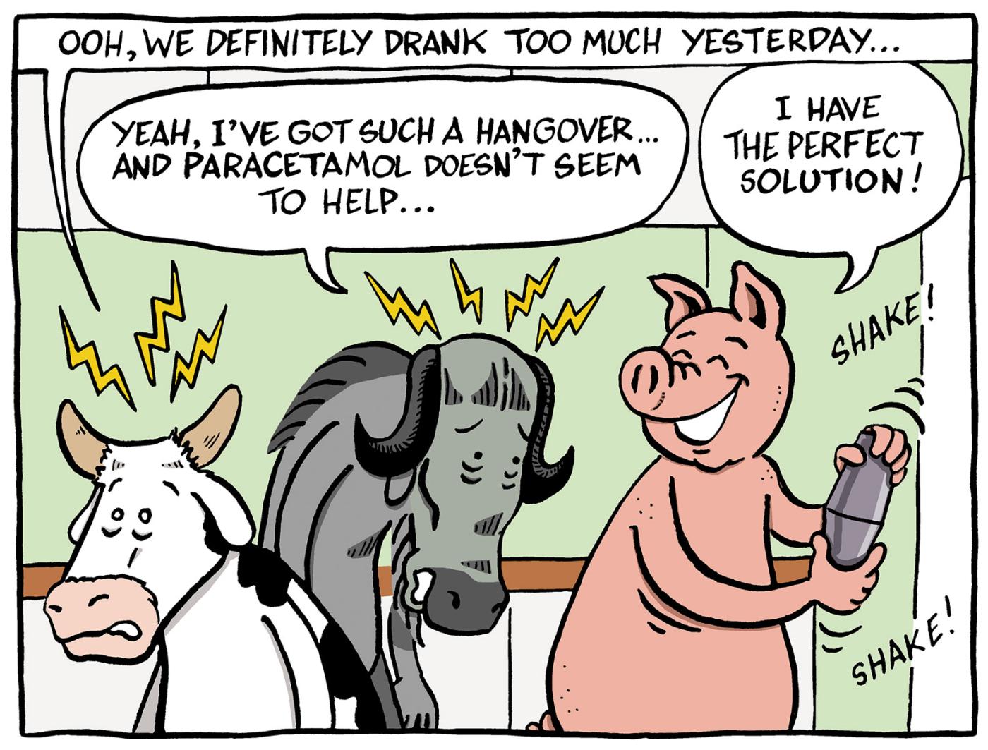 Oscar Wildebeest Hangover