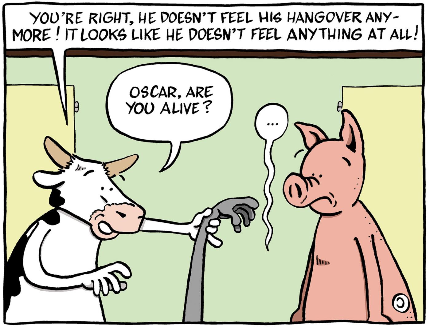 Oscar Wildebeest Hangover 4