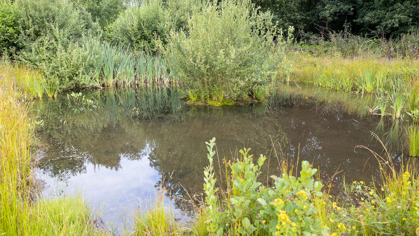 Poel op USP, foto Dick Boetekees