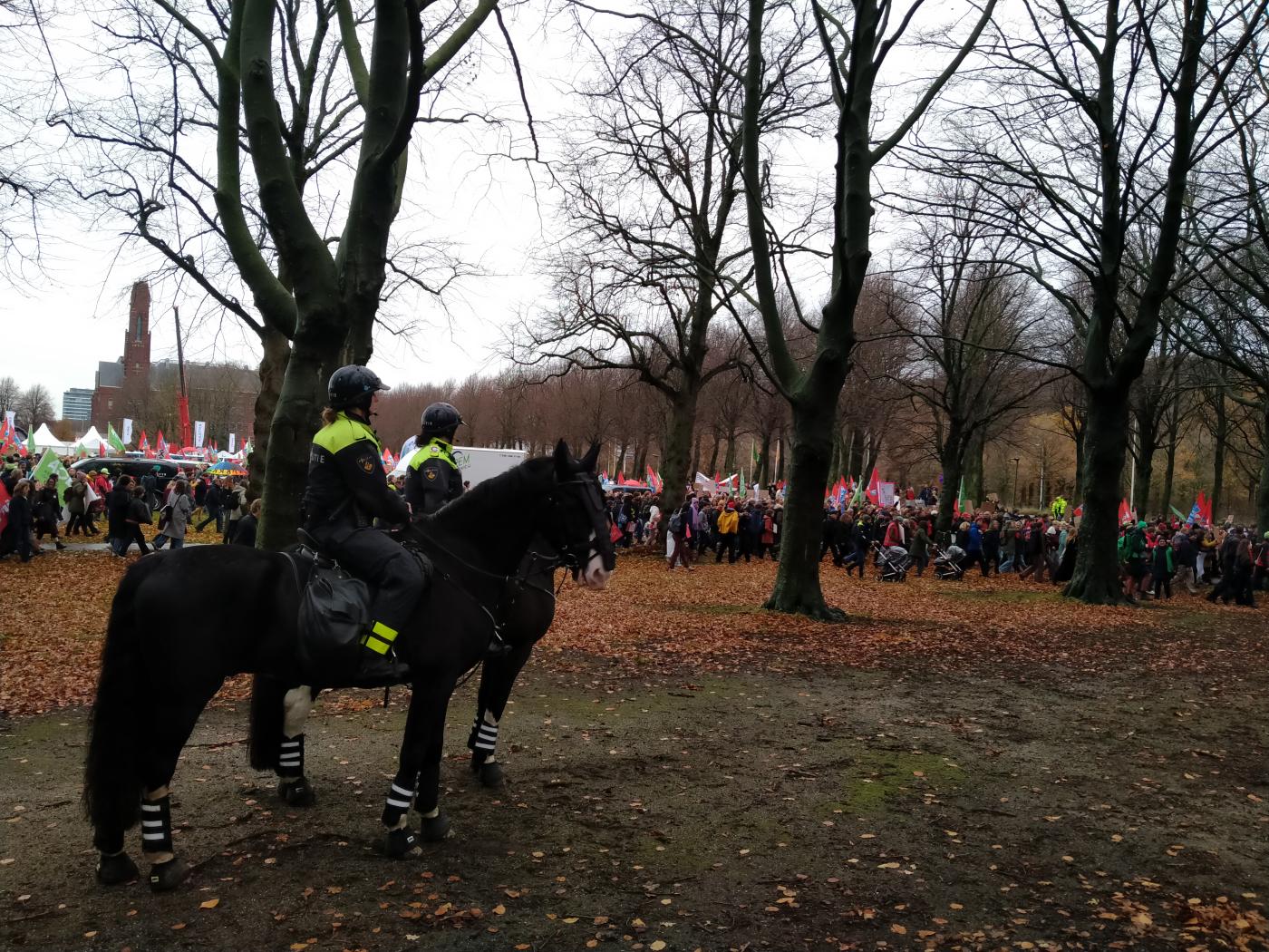 Politiepaarden. Foto: Samuel de Weerd