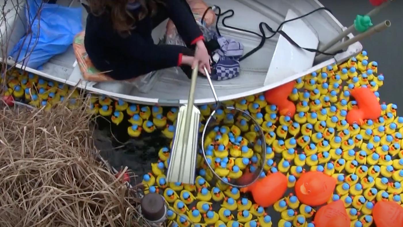 Ragweek: de Duckrace