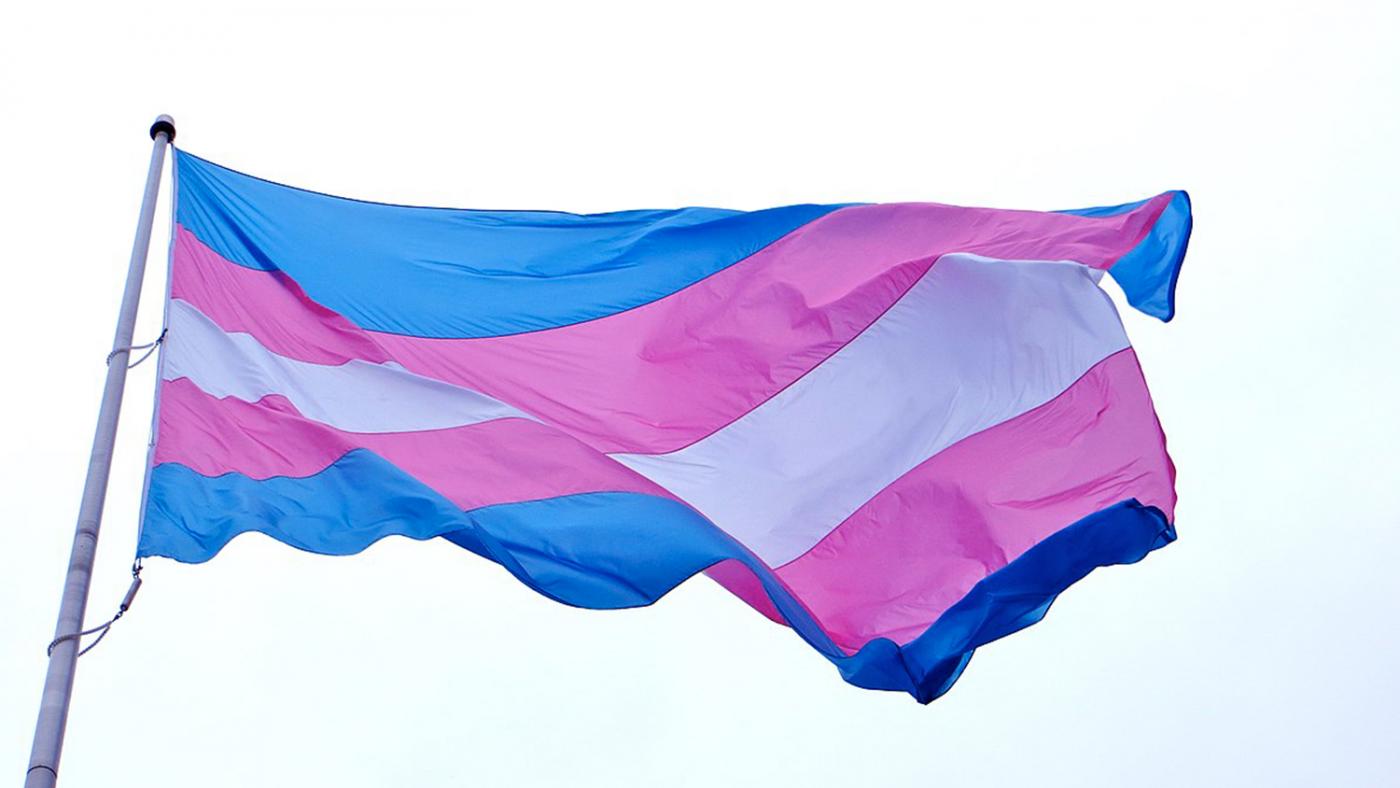 Transgender vlag. Foto: Wikipedia