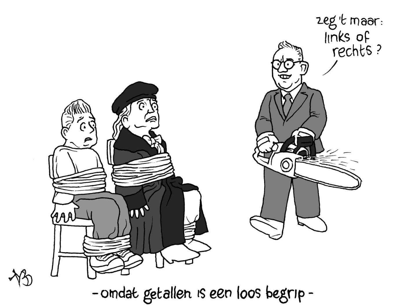 cartoon Bruins / Niels Bongers