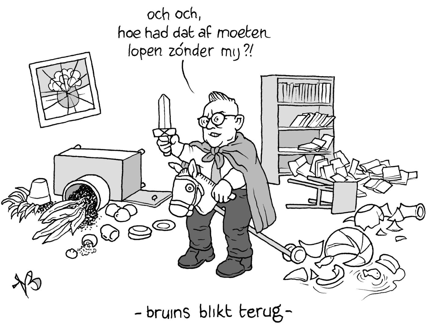 cartoon Bruins / Niels Bongers
