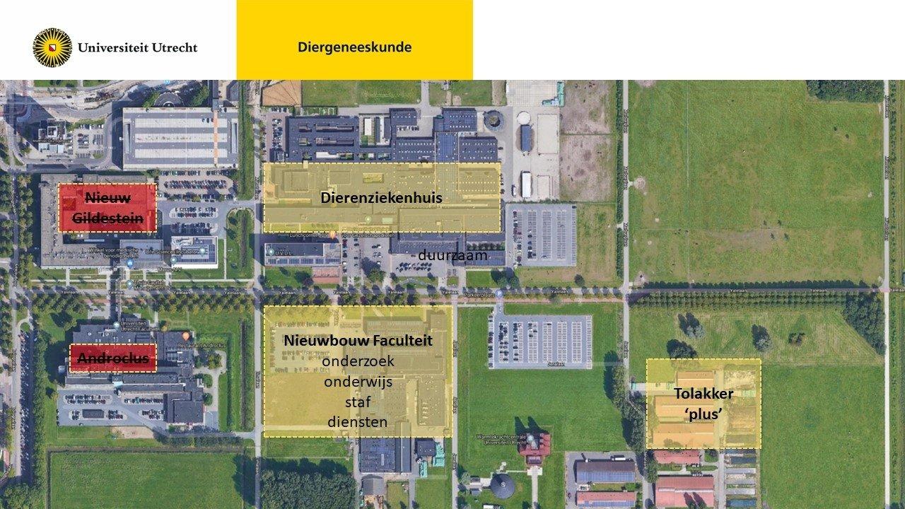 Diergeneeskunde toekomst plattegrond, illustratie UU