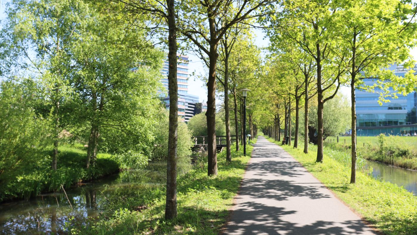De Hoofddijk. Foto: DUB
