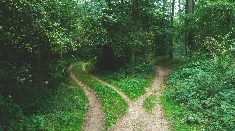 Paths Paths