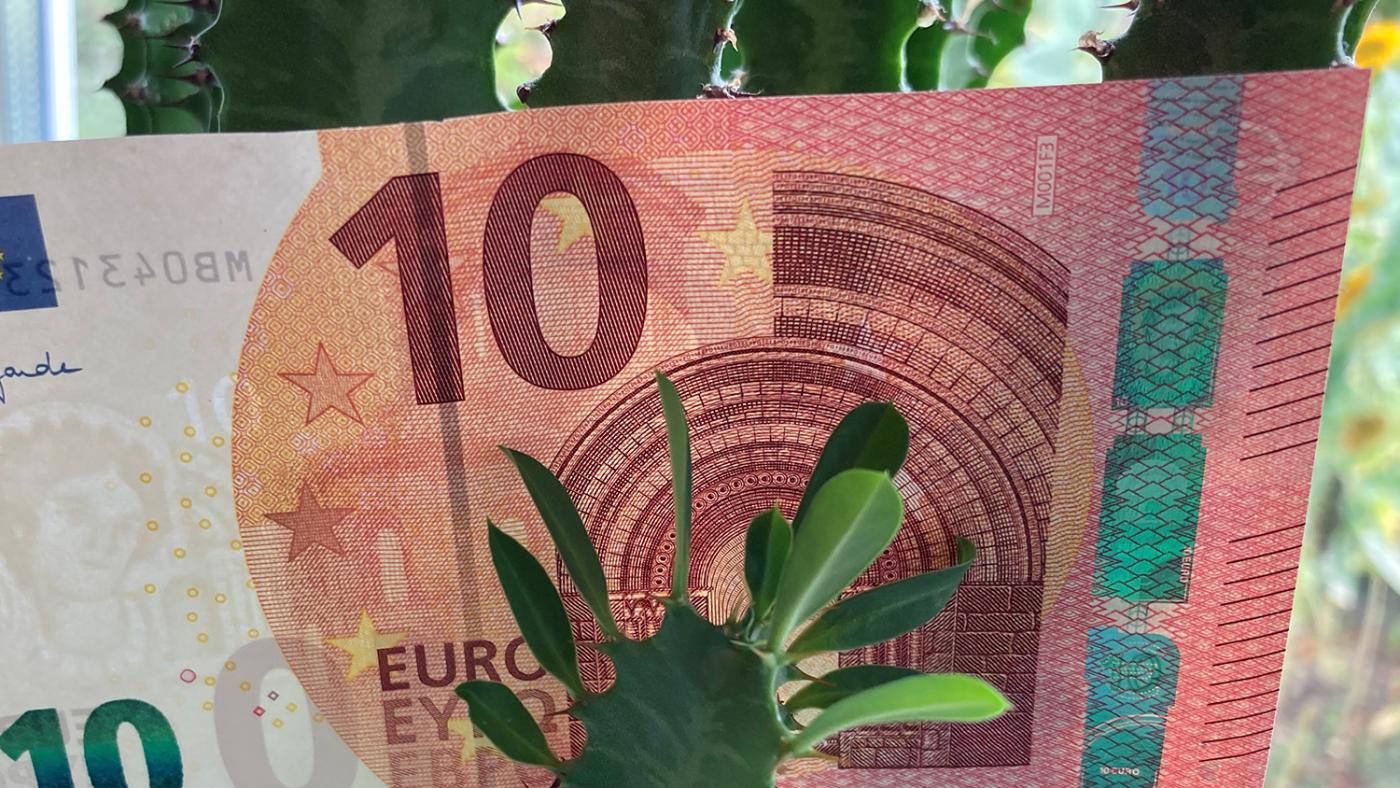 tientje-header-foto-dub