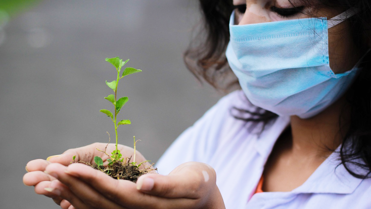 Wetenschapper. Foto: Pixabay