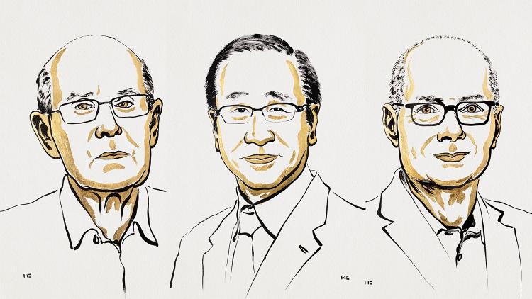 nobelrpijswinnaars-scheikunde Niklas Elmehed © Nobel Prize Outreach