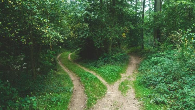 Paths