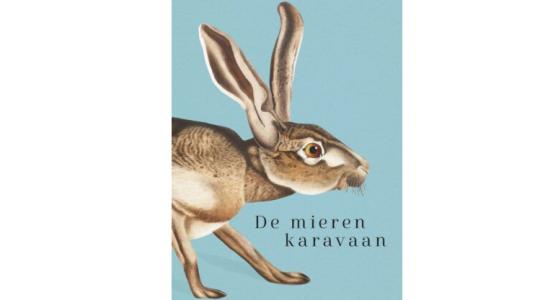 Omslag De mierenkaravaan