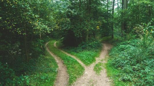 Paths