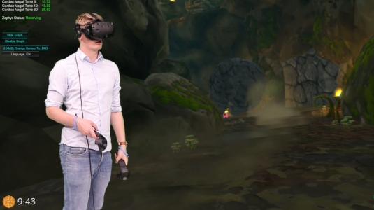 VR videogame