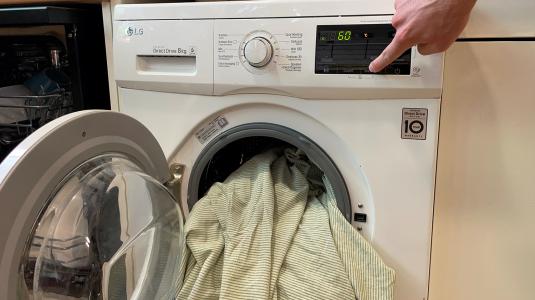 wasmachine-bedwantsen, foto DUB
